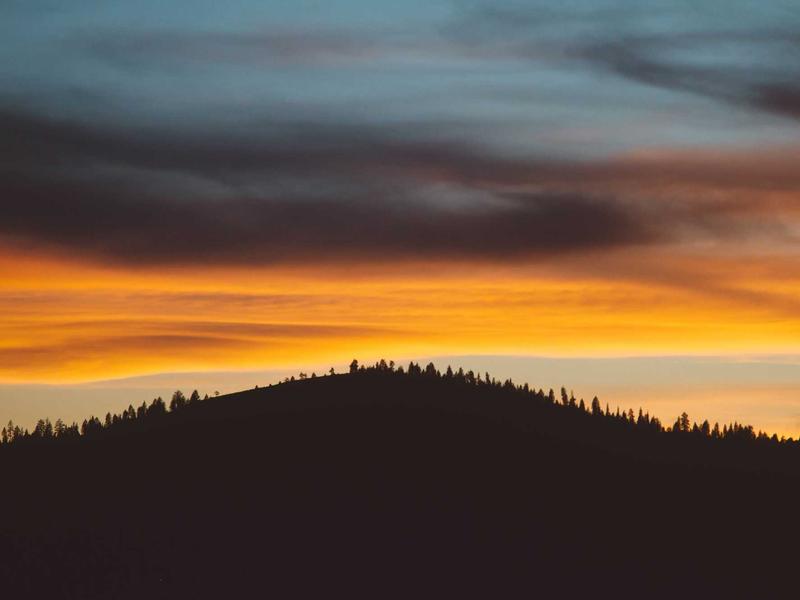 最后生还者<br>qyy4iewj.cn 真菌孢子危机